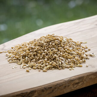 Whole Wheat (Organic) 40#