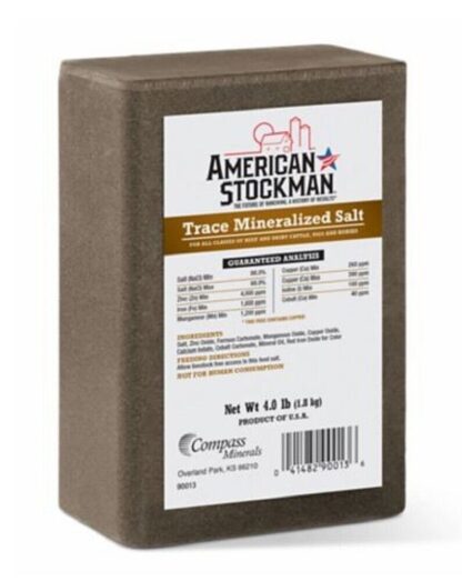 American Stockman Mineral Salt Bricks (15x4#)