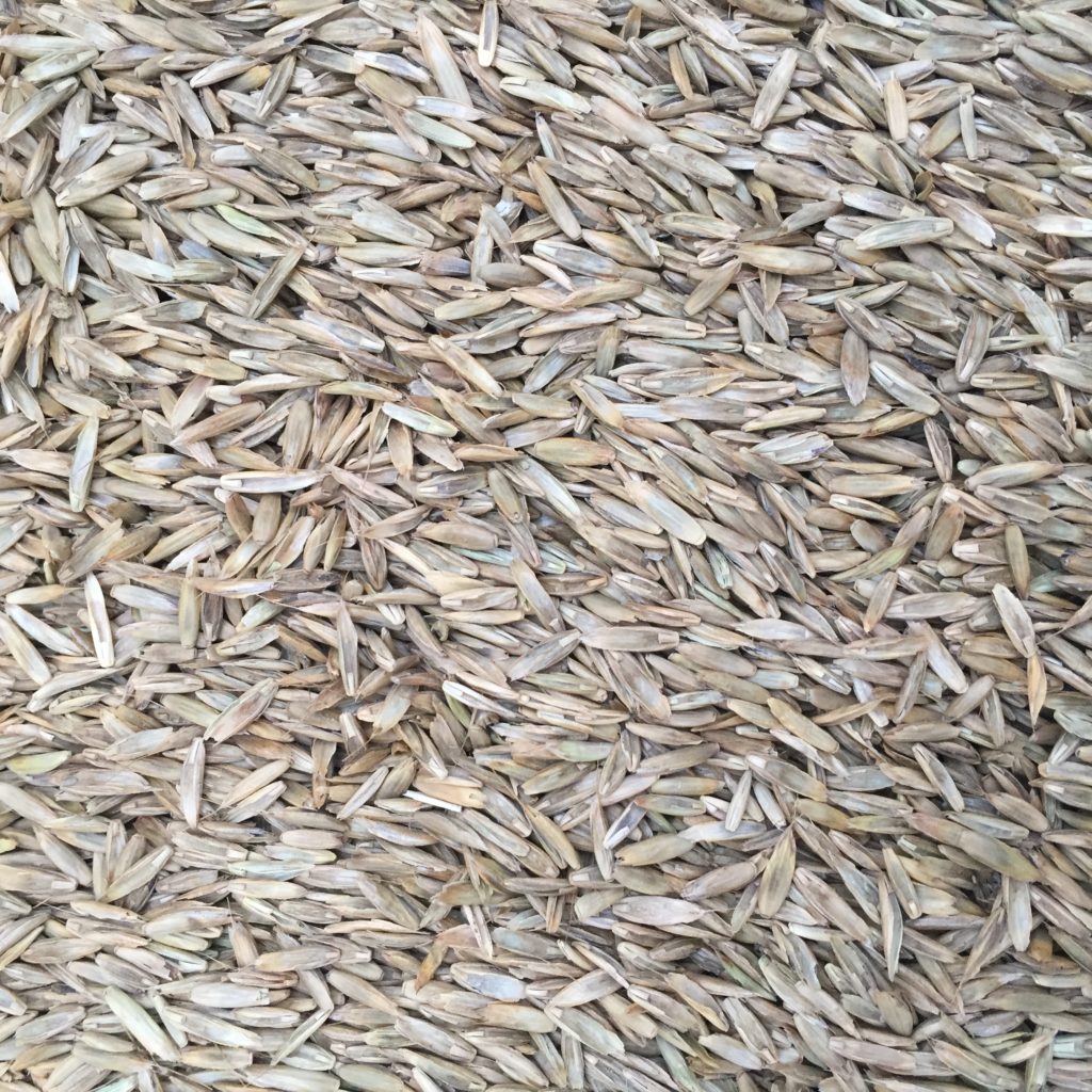 Gulf Annual Ryegrass Concentrates, Inc.
