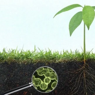 Beneficial Soil Myco/Bacterial/Humic